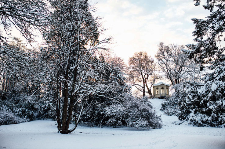 Snow within the Gardens of Montalto Estate